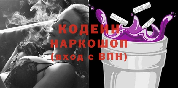 индика Алапаевск