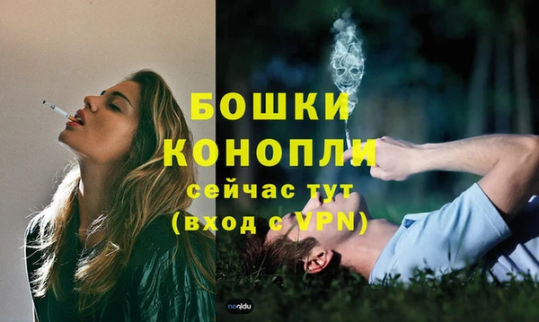 меф Новодвинск